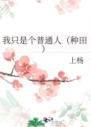我只是个普通人（种田）