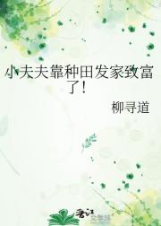 小夫夫靠种田发家致富了！