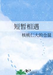 短暂相遇