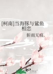 [柯南]当海豚与鲨鱼相恋
