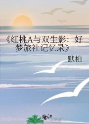 红桃A与双生影：好梦旅社记忆录