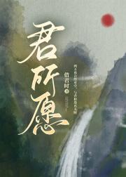 君所愿