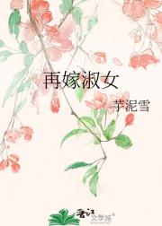 再嫁淑女