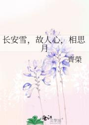 长安雪，故人心，相思月