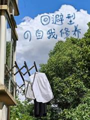 回避型的自我修养