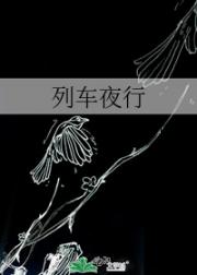 列车夜行