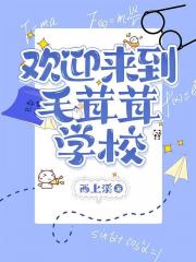 毛茸茸学校当实习老师