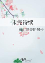 未完待续