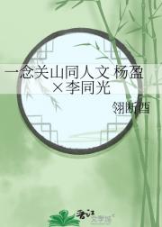 一念关山同人文 杨盈×李同光
