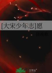 [大宋少年志]愿
