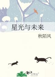 星光与未来