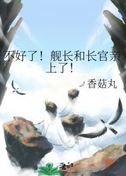 不好了！舰长和长官亲上了！