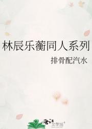 林辰乐蘅同人系列
