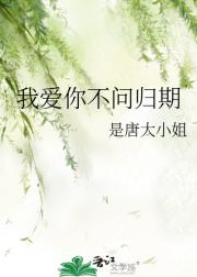 我爱你不问归期
