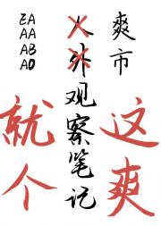 爽市观察笔记【番外合集】
