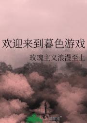 欢迎来到暮色游戏