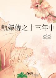 甄嬛傳之十三年中