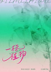 植物休眠期