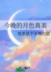 今晚的月色真美