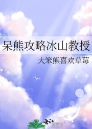 呆熊攻略冰山教授