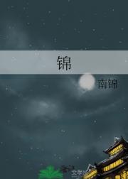 锦