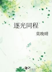 逐光同程