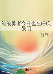 流浪勇者今日也在呼唤黎明