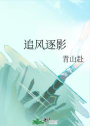 追风逐影