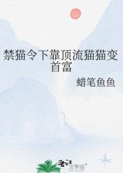 禁猫令下靠顶流猫猫变首富