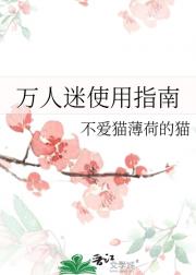 万人迷使用指南