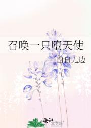 召唤一只堕天使