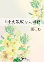 由小厨娘成为大司农