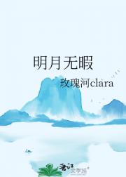 明月无暇