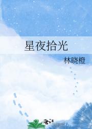 星夜拾光