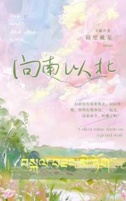 向南以北