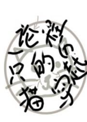 论一只猫的穿越历程