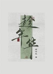 趁年华