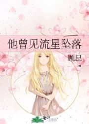 他曾见流星坠落