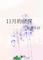 11月的侦探
