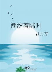 潮汐着陆时