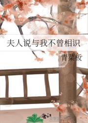 夫人说与我不曾相识