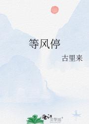 等风停