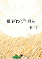 暴君改造项目