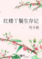 红楼丫鬟生存记
