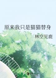 猫猫，但是替身