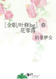 ［全职/叶修bg］春花零落