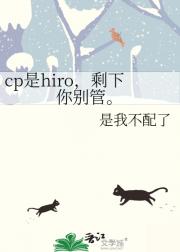 cp是hiro，剩下你别管。