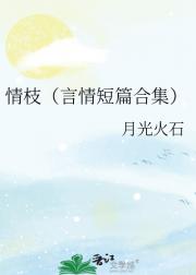 二三情枝