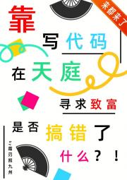靠写代码在天庭寻求致富是否搞错了什么