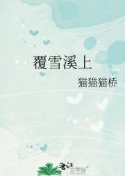 覆雪溪上